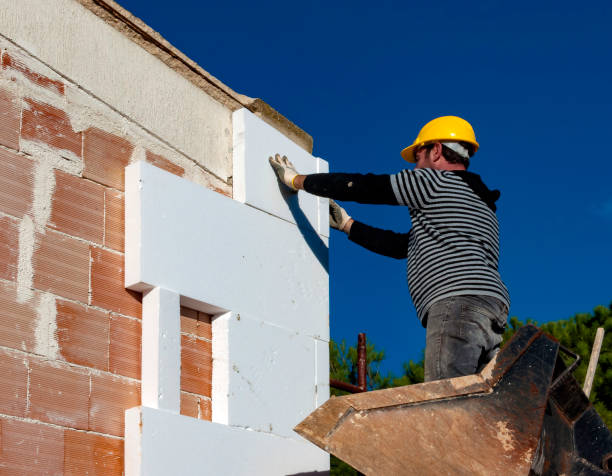 Best Commercial Insulation in Seco Mines, TX