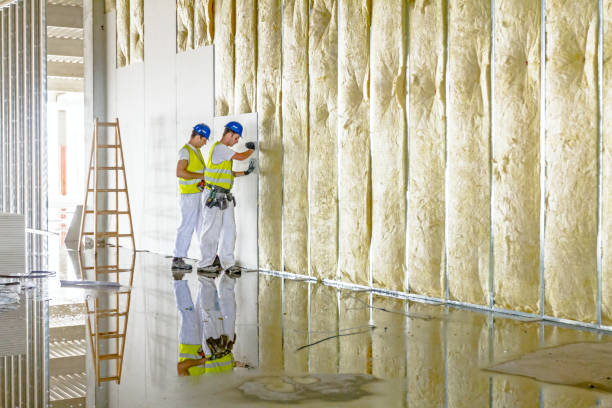 Best Residential Insulation in Seco Mines, TX